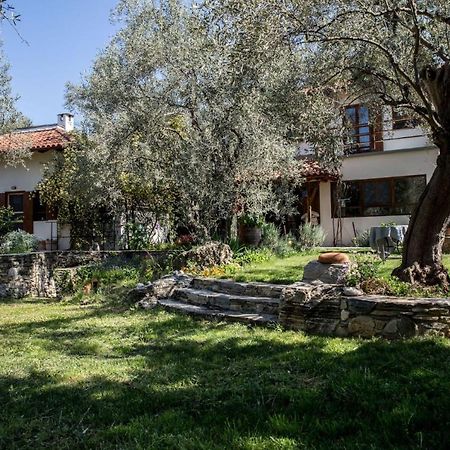 Piges Villa Milína Exterior foto